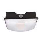LED Canopy Lights — representative fixture