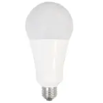 Lamps & Bulbs — representative fixture