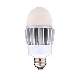 20W LED A21 lamp, 5000K, E26 base, frosted cover
